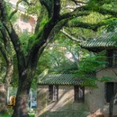 中山大学(广州校区南校园)北门广场 - 广州市旅游 缩略图 8