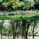 骆宾王公园 - 金华市旅游 缩略图 8