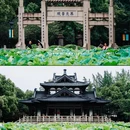 塔下街 - 湖州市旅游 缩略图 9