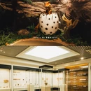 缙云仙都黄龙山景区 - 丽水市旅游 缩略图 6