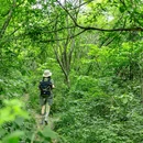 水龙瀑布 - 芜湖市旅游 缩略图 9