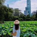 洪湖公园-东门 - 深圳市旅游 缩略图 1