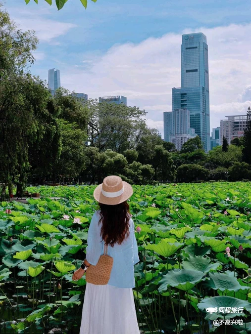 洪湖公园-东门 - 深圳市旅游