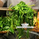 广州南沙万达广场 - 广州市旅游 缩略图 5