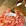 长沙市·万家丽国际购物广场