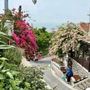 桂山岛风景区 - 珠海市旅游 缩略图 8