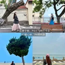 奥帆燕岛山公园 - 青岛市旅游 缩略图 6