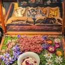 芸山季·云南野生菌火锅(月星环球港店) - 上海市旅游 缩略图 5