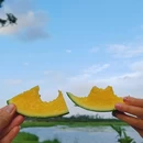 新潭村 - 海口市旅游 缩略图 5