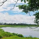 新潭村 - 海口市旅游 缩略图 7
