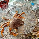 星光大道旁康康谷公寓 - 杭州市旅游 缩略图 1