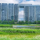 福海河公园 - 深圳市旅游 缩略图 7