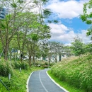 福海河公园 - 深圳市旅游 缩略图 8