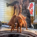 保利中环广场 - 广州市旅游 缩略图 1