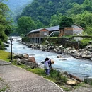 喇叭河风景区 - 雅安市旅游 缩略图 1