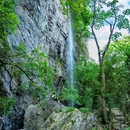 茶马古道国家4A级风景区 - 益阳市旅游 缩略图 5