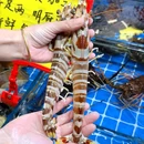 八市 - 厦门市旅游 缩略图 6