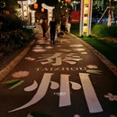 凤城河风景区 - 泰州市旅游 缩略图 3