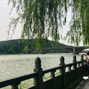龙门石窟景区 - 洛阳市旅游 缩略图 2
