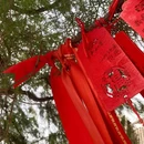 龙门石窟景区 - 洛阳市旅游 缩略图 9