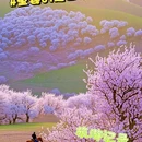 吐尔根杏花沟 - 伊犁哈萨克自治州旅游 缩略图 4