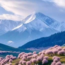 吐尔根杏花沟 - 伊犁哈萨克自治州旅游 缩略图 2