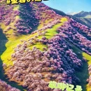 吐尔根杏花沟 - 伊犁哈萨克自治州旅游 缩略图 6