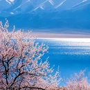 吐尔根杏花沟 - 伊犁哈萨克自治州旅游 缩略图 7