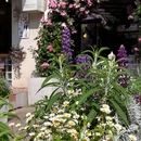 嘉年华澳乐购(奥特莱斯店)地下停车场 - 青岛市旅游 缩略图 5