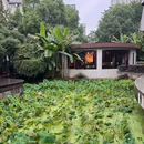 长沙印象汇 - 长沙市旅游 缩略图 5