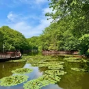 洛阳白云山景区 - 洛阳市旅游 缩略图 5