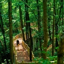 洛阳白云山景区 - 洛阳市旅游 缩略图 3
