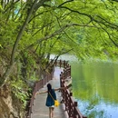 洛阳白云山景区 - 洛阳市旅游 缩略图 1