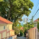 永旺东部购物中心 - 青岛市旅游 缩略图 8