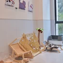小狗撸柴·汪柴趣 - 深圳市旅游 缩略图 6