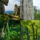 泰山风景区 - 泰安市旅游 缩略图 5