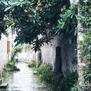 西溪南古村落停车场 - 黄山市旅游 缩略图 5