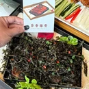 太阳城购物中心 - 安庆市旅游 缩略图 2
