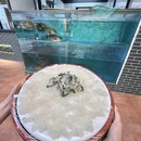 肯德基(巴黎春天店) - 佛山市旅游 缩略图 7