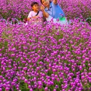 宏城花园 - 广州市旅游 缩略图 6