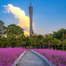 宏城花园 - 广州市旅游 缩略图 7