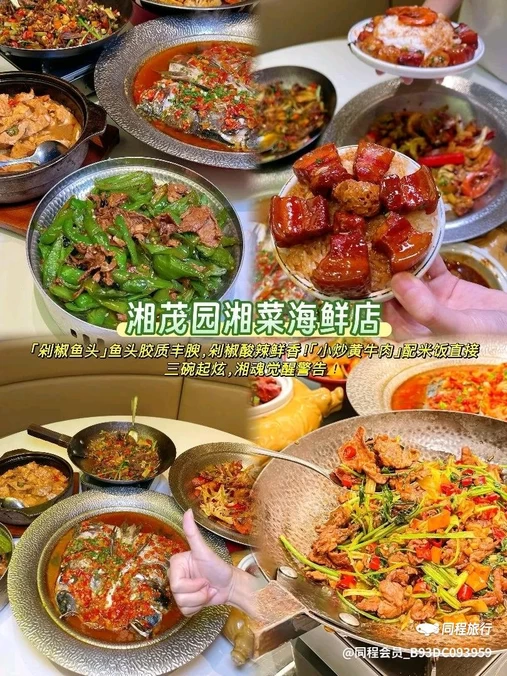 ARTEVSG新加坡奶茶(崖州湾大学城店) - 三亚市旅游