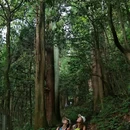 天目山风景区 - 杭州市旅游 缩略图 7