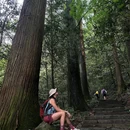 天目山风景区 - 杭州市旅游 缩略图 4
