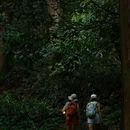 天目山风景区 - 杭州市旅游 缩略图 5