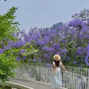 云朵乐园 - 成都旅游 缩略图 4
