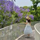 云朵乐园 - 成都旅游 缩略图 7