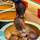 福旺甲·砂锅烧甲鱼(长寿路店) - 上海市旅游 缩略图 8