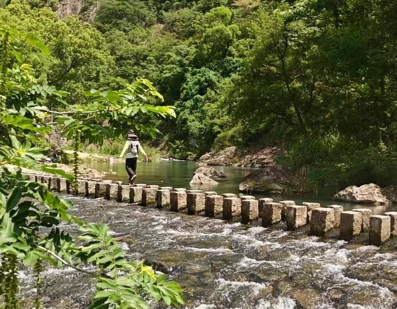 陈维铭家庭农场 - 温州市旅游 1