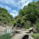 陈维铭家庭农场 - 温州市旅游 缩略图 3